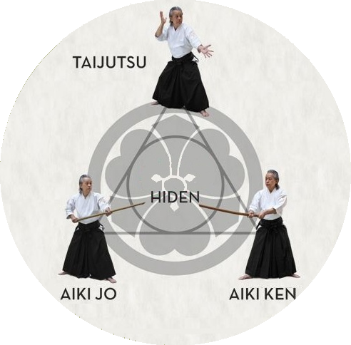 takemusu aiki aikido takemusu aiki béziers Takéji Tomita sensei