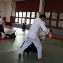 IMG_9231